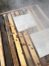 Load image into Gallery viewer, Priddy Acres Sweet B - Simple Bee Fondant - 10 lbs (Lemongrass)