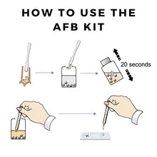 Load image into Gallery viewer, AFB- Amercian Foulbrood Test Kit