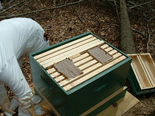 Load image into Gallery viewer, Ambrose Bee Supply Pollen Pattie, High Protein Formula Feed for All Levels of Beekeepers, Pack of 2