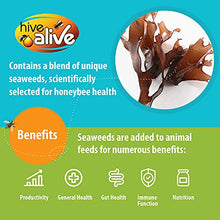 Load image into Gallery viewer, Hive Alive Fondant Bee Food Supplement - With Vitamins & Amino Acids - Natural Feed Enhancer Improves Colony Health, Population & Honey Production - Ideal Winter, Spring Feed to Lower Mortality-Single