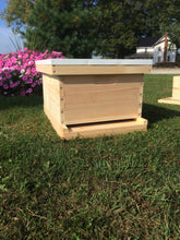 Load image into Gallery viewer, Deep 9 5/8 Complete Bee Hive kit w/Frames & Foundations (Un-Assembled) Langstroth
