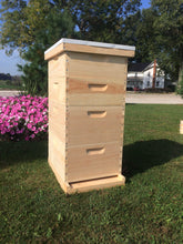 Load image into Gallery viewer, Bee Hive 2 Deep 2 Medium Complete BeeHive kit w/Frames & Foundations (Un-Assembled) Langstroth