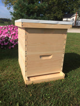 Load image into Gallery viewer, 2 Deep (9 5/8) w/Frames Beekeeping Bee Hive kit Un-Assembled Langstroth