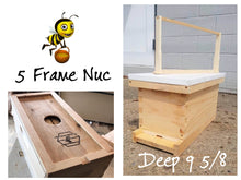 Load image into Gallery viewer, 5 Frame Nuc Deep 9 5/8 Bee Hive with Frames Un-Assembled Langstroth