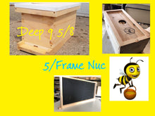 Load image into Gallery viewer, 5 Frame Nuc Deep 9 5/8 Complete Bee Hive with Frames & Foundations (Un-Assembled) Langstroth
