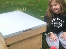 Load image into Gallery viewer, Ventilated/Telescopic Bee Hive Top Cover w/White Metal Langstroth