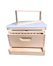 Load image into Gallery viewer, 1 Medium (6 5/8) w/Frames Beekeeping Bee Hive kit (Un-Assembled) Langstroth