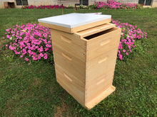 Load image into Gallery viewer, 2 Deep & 1 Medium Beekeeping Bee Hive Body Only (Un-ASSEMBLED) Langstroth
