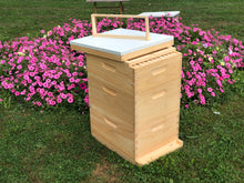 Load image into Gallery viewer, 2 Deep & 1 Medium w/Frames Beekeeping Bee Hive kit Un-Assembled Langstroth