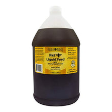 Load image into Gallery viewer, Slide Ridge"Fat Bee" 1 Gallon Liquid Feed for Honey Producing Bee's - Nectar Replacement for Spring &amp; Fall
