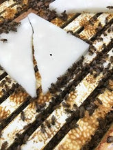 Load image into Gallery viewer, Priddy Acres Sweet B - Simple Bee Fondant - 10 lbs (Lemongrass)
