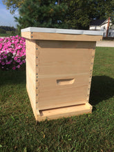 Load image into Gallery viewer, 2 Deep Complete Bee Hive kit w/Frames &amp; Foundations Un-Assembled Langstroth
