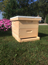 Load image into Gallery viewer, 2 Medium (6 5/8) w/Frames Beekeeping Bee Hive Assembled
