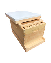 Load image into Gallery viewer, 1 Deep 9 5/8 w/Frames Beekeeping Bee Hive Assembled
