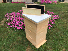 Load image into Gallery viewer, Bee Hive 2 Deep 2 Medium Complete BeeHive kit w/Frames &amp; Foundations (Un-Assembled) Langstroth
