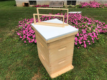 Load image into Gallery viewer, 2 Deep &amp; 1 Medium w/Frames Beekeeping Bee Hive kit Un-Assembled Langstroth

