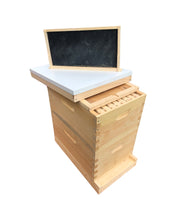 Load image into Gallery viewer, 2 Deep Complete Bee hive w/Frames &amp; Foundations ASSEMBLED Langstroth
